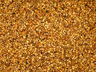 Bienenpollen