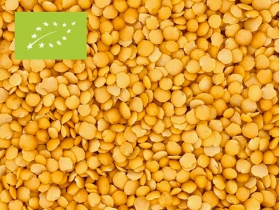 Linsen gelb split Bio