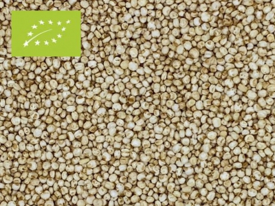 Quinoa Gepufft Bio