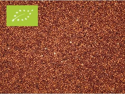 Quinoa Rot Bio