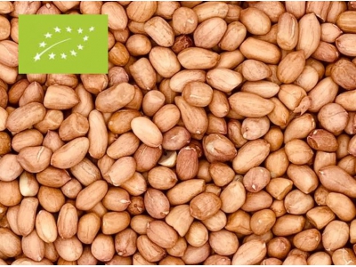 Erdnüsse mit Haut Bio